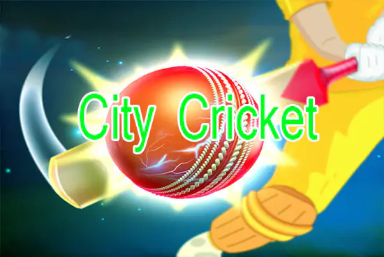 City Cricket